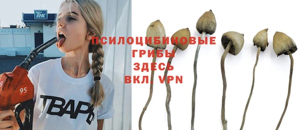 не бодяженный Корсаков